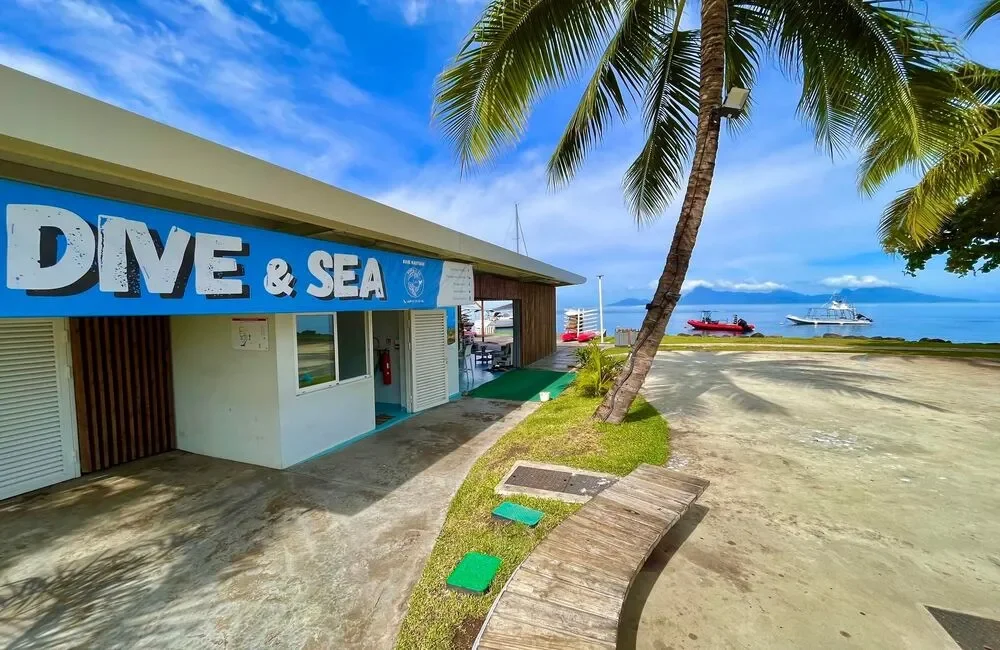 Dive Center Dive and Sea Tahiti - Asia-Pacific - photo 2