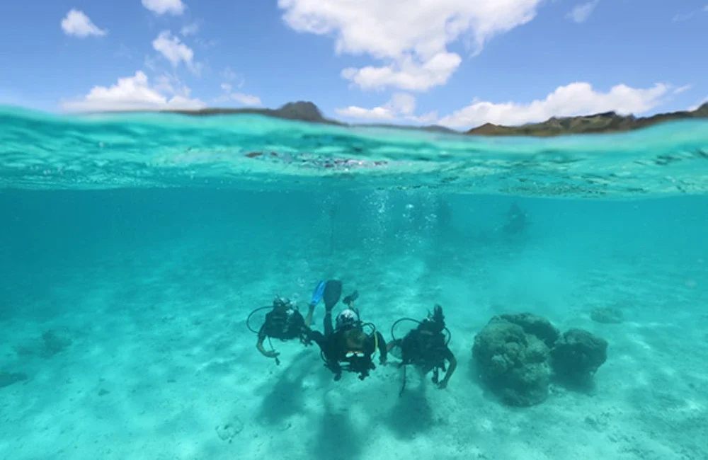 Scubapiti Moorea