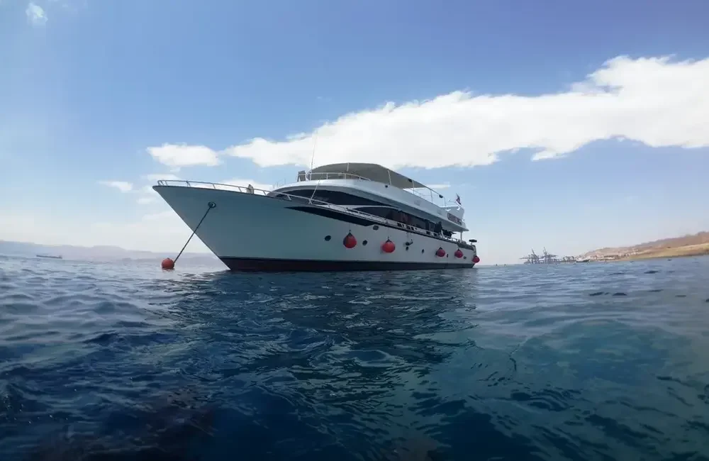Aqaba Sharks Bay Divers