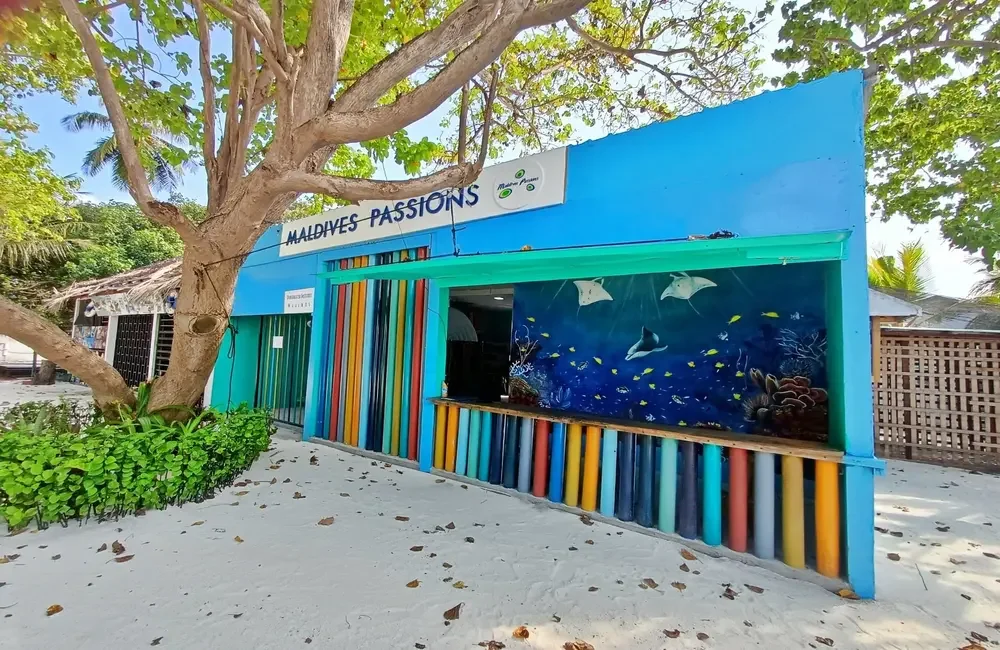 Dive Center Maldives Passions Dive School - Northern Atolls – Thoddoo - photo 3