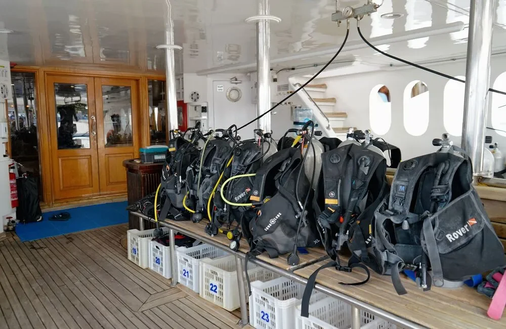 Liveaboard MY JP MARINE - Egypt - photo 4