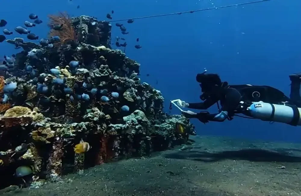 Dive Center Dive Culture / Big Fins Conservation - Asia-Pacific - photo 4