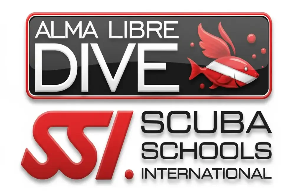 Dive Center ALMA LIBRE DIVE CENTER COZUMEL - Caribbean - photo 2
