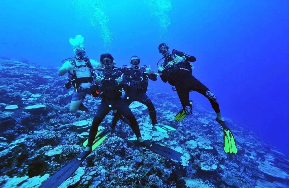 Dive Center TIKEHAU DIVING - Asia-Pacific - photo 3
