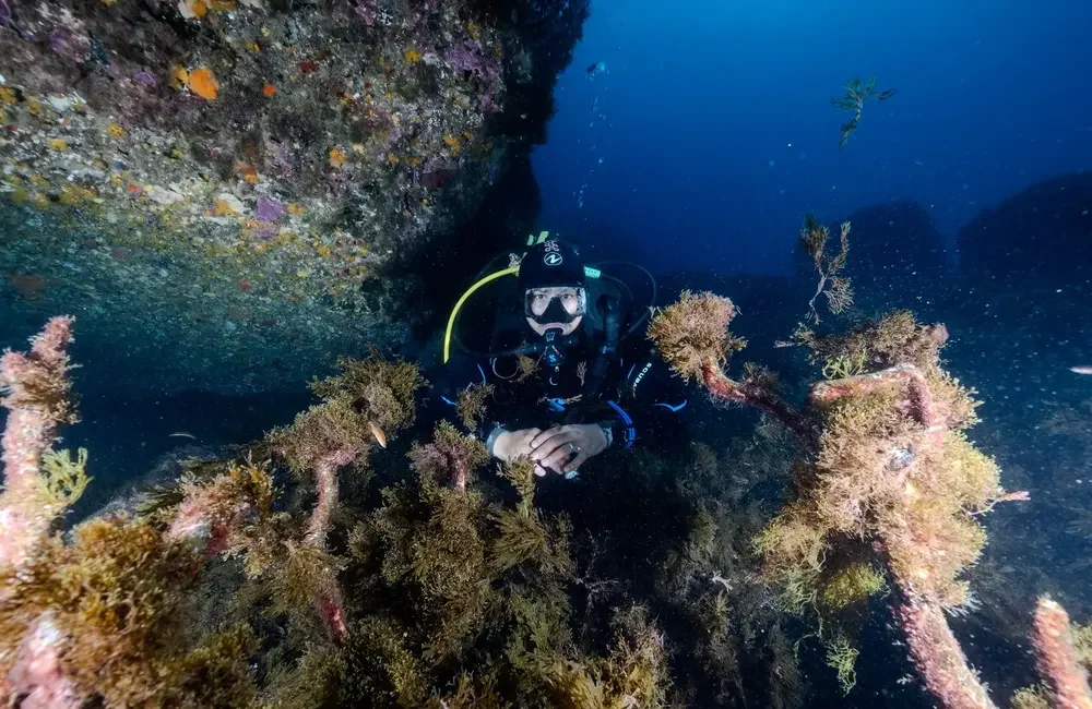 Chems Diving Belyounech