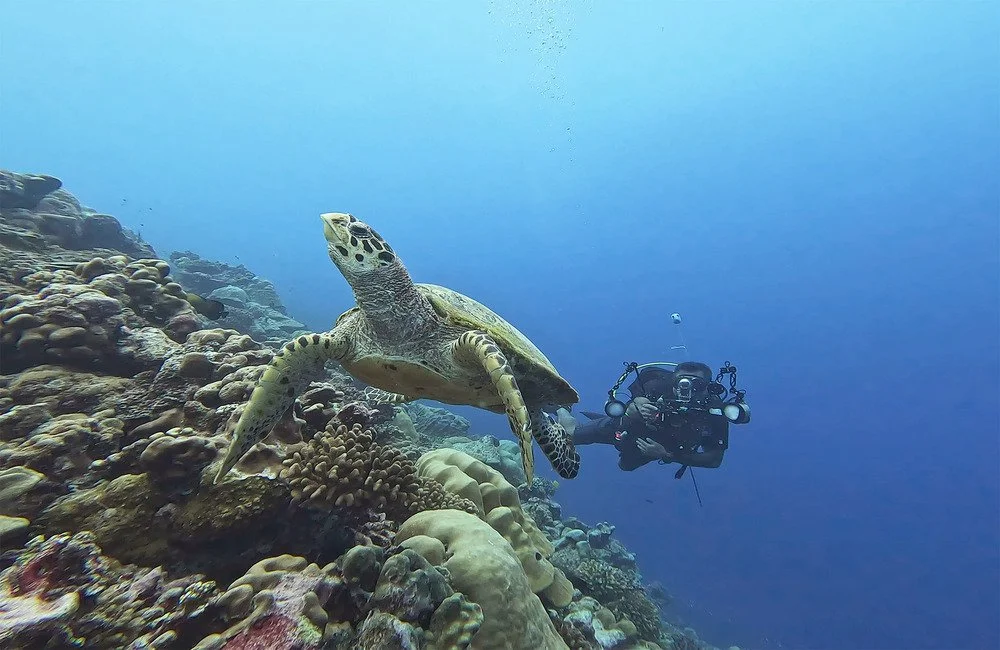 Dive Center ScubaShark FVM - Southern Atolls - photo 3