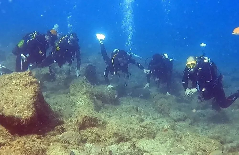 Brothers Diving