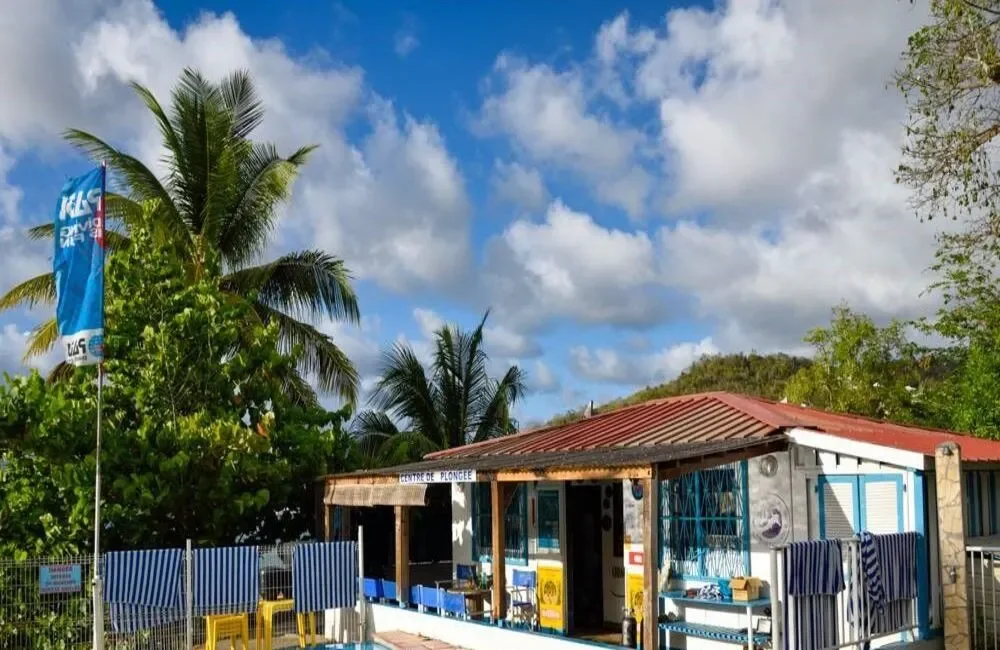 Dive Center Corail Club Caraïbes - Caribbean - photo 2