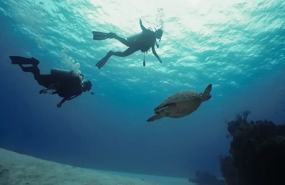 Dive Center Blue Note Scuba - Caribbean - photo 5