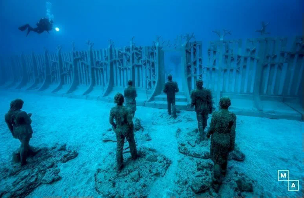 Dive Center Viva blue diving - Canary Islands - photo 1