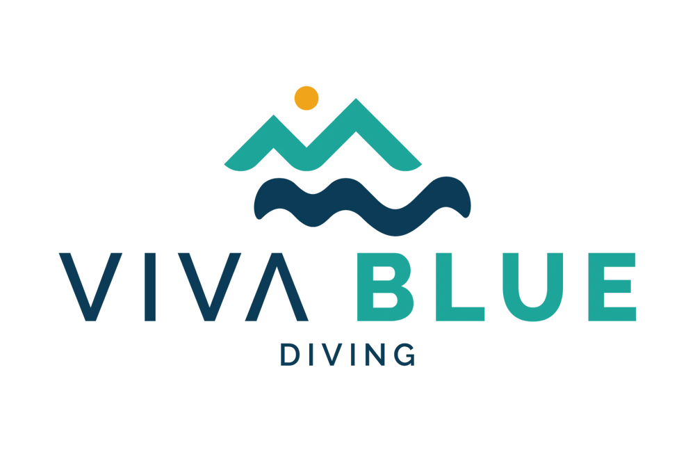 Dive Center Viva blue diving - Canary Islands - photo 1