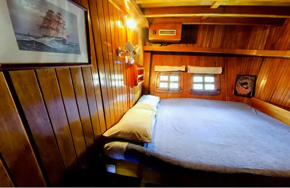 Liveaboard Msy Elegante - Red Sea - photo 5