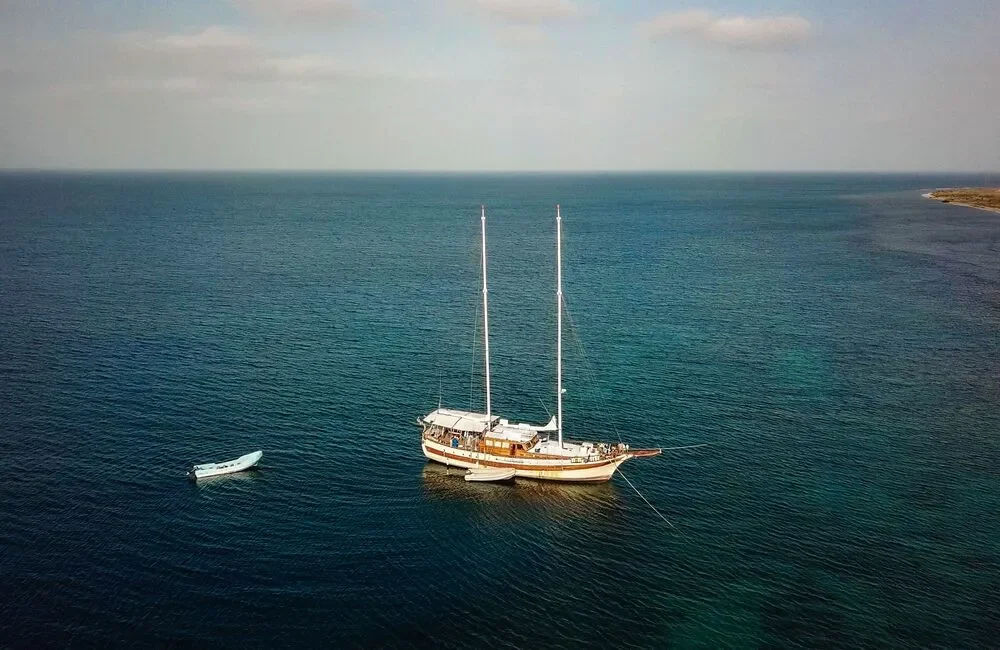 Liveaboard Msy Elegante - Red Sea - photo 3