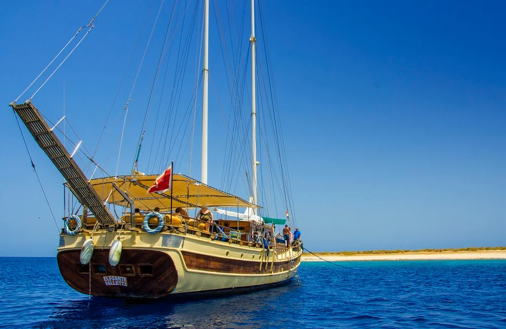 Liveaboard Msy Elegante - Red Sea - photo 2