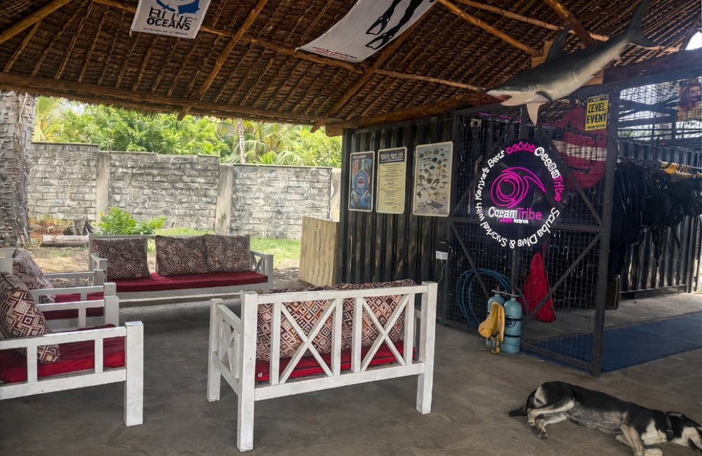 Dive Center Ocean Tribe - Kenya - photo 5