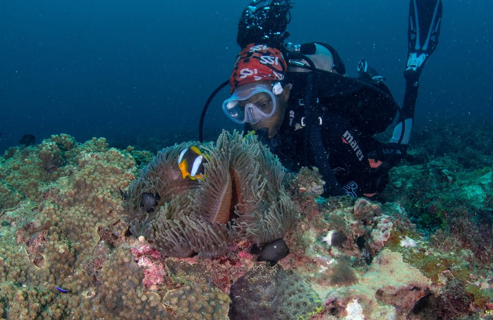 Dive Center Ocean Tribe - Kenya - photo 1