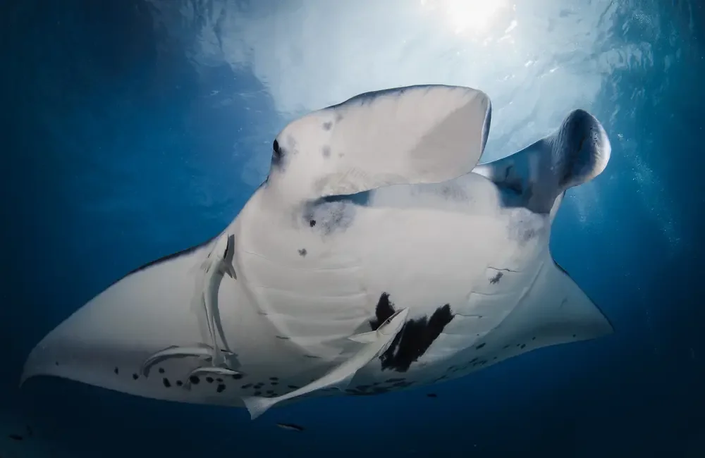 Bora Diving Center