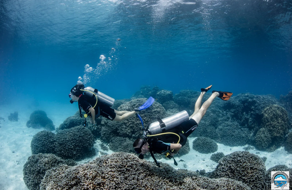 Dive Center Bora Ocean Adventures - Society Islands - photo 4
