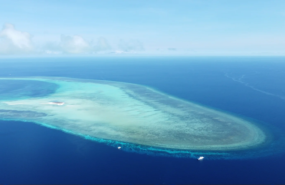 Liveaboard Hawkeye Marine Inc. (M/Y PalauSport) - Philippines - photo 3