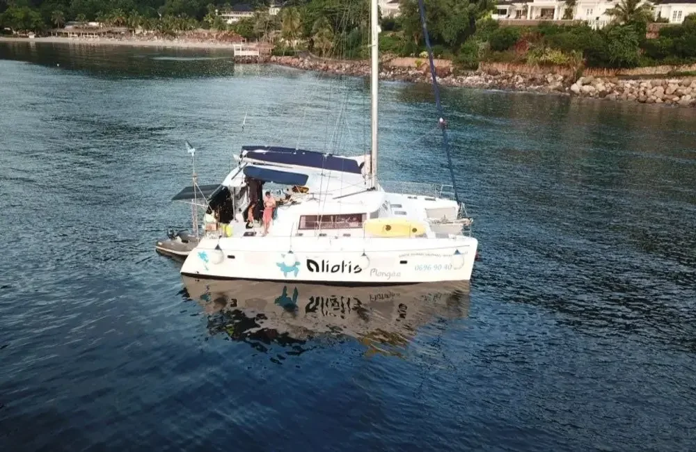 Dive Center Aliotis plongee - Caribbean - photo 2