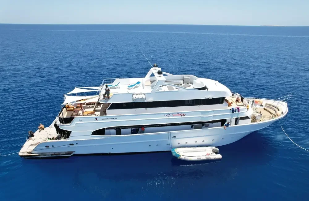 Liveaboard Sadko Safari Fleet - Egypt - photo 3