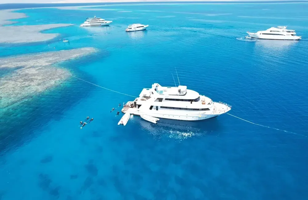 Sadko Safari Fleet