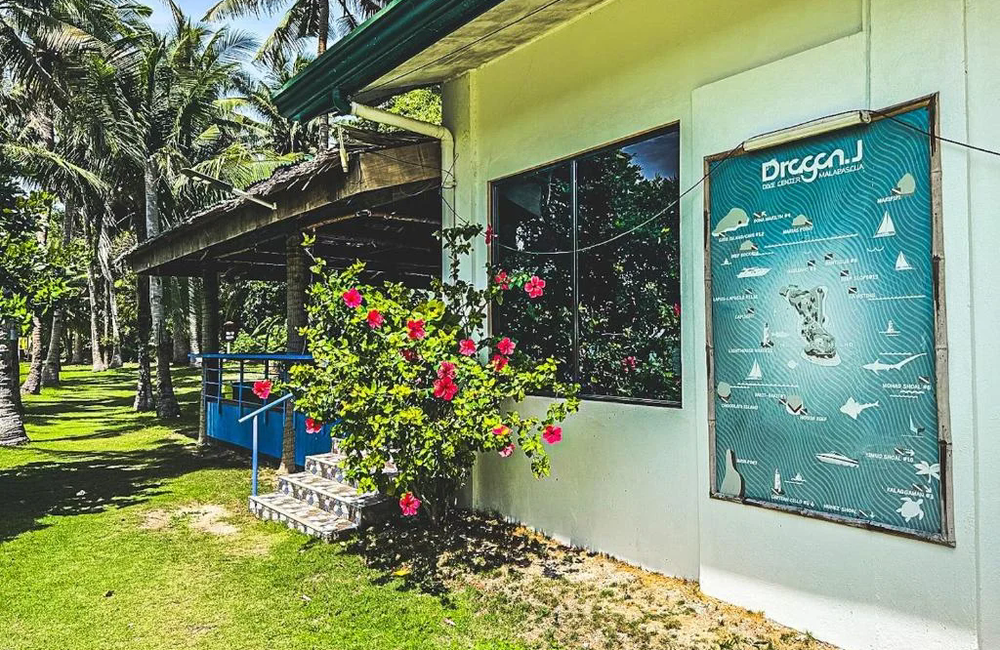 Dive Center Zhang Resort and Dragon J1 dive center - Philippines - photo 1