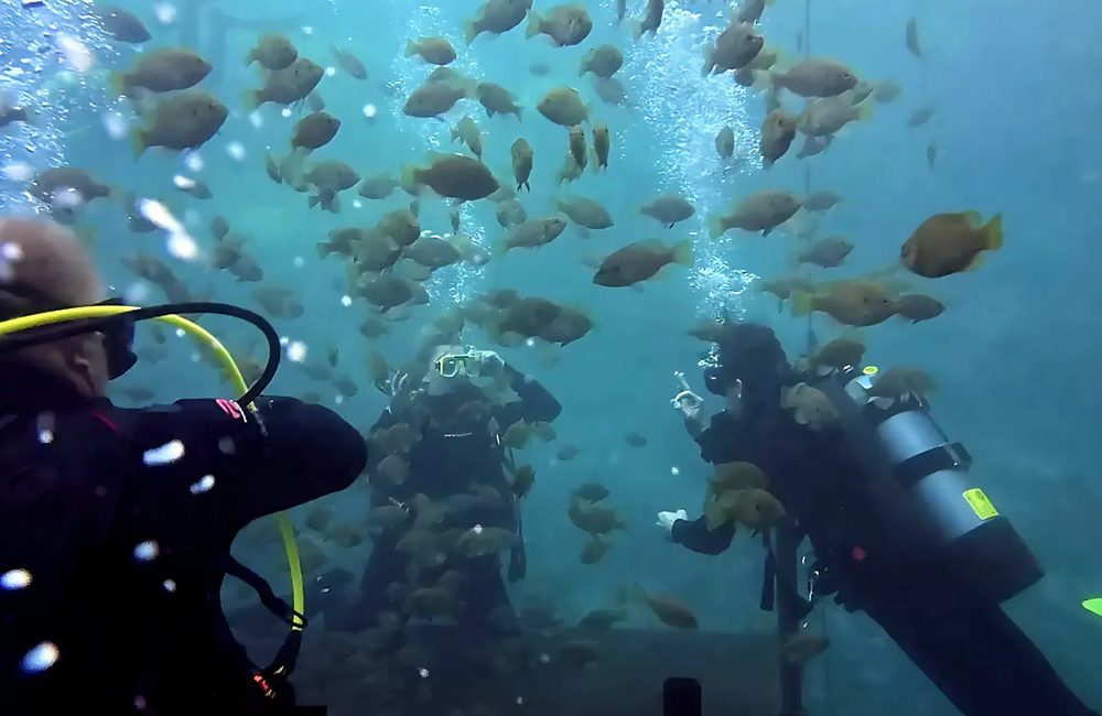 Dive Center Wreckreation Scuba - United States - photo 3