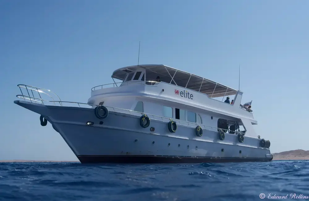 Dive Center Elite Diving with Divers United - Egypt - photo 5