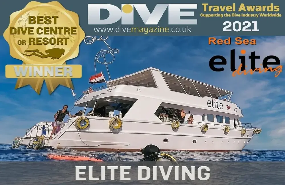 Elite Diving with Divers United