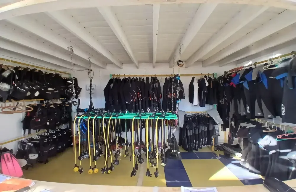 Dive Center Bubbles Team-Dahab - Egypt - photo 4