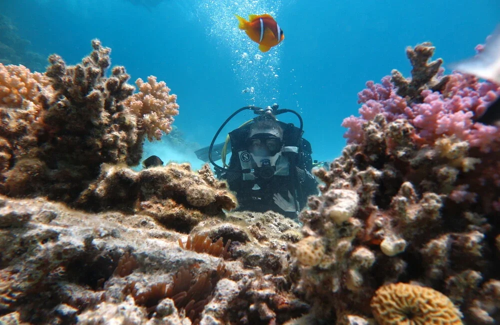 Chloe’s Diving Center