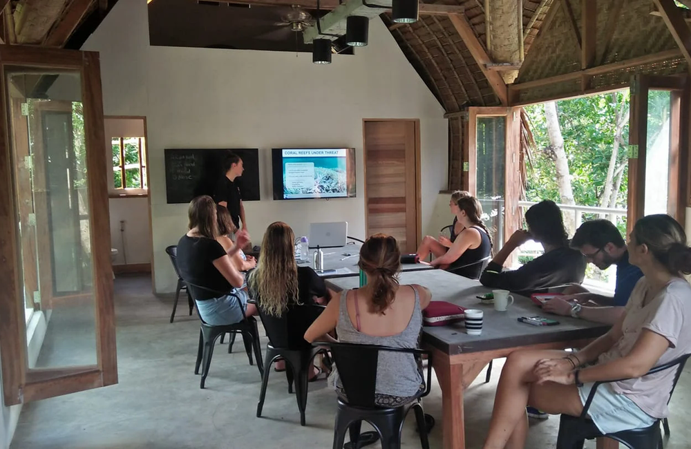 Dive Center Marine Conservation Philippines - Philippines - photo 2