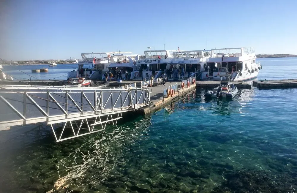 Red Sea Diving College