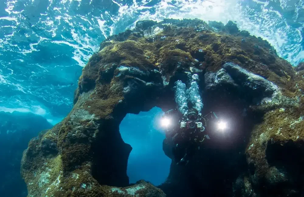 Dive Center Meridiano Cero - Atlantic - photo 3