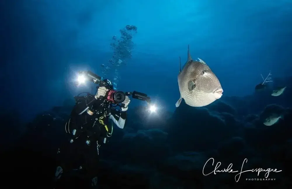 Dive Center Meridiano Cero - Atlantic - photo 5