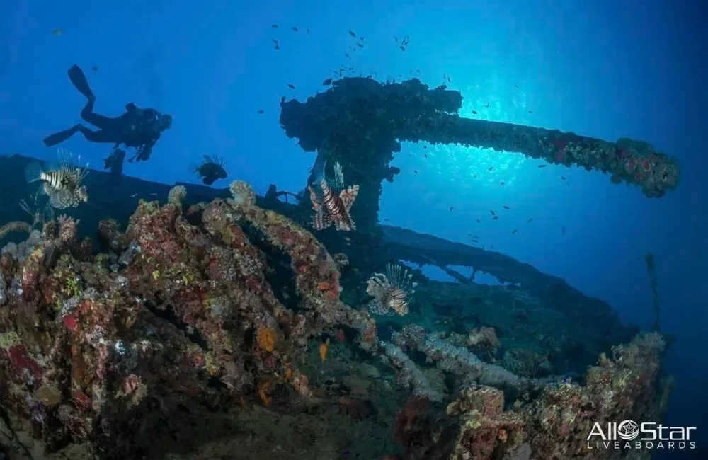 Liveaboard All Star Scuba Scene - Egypt - photo 3