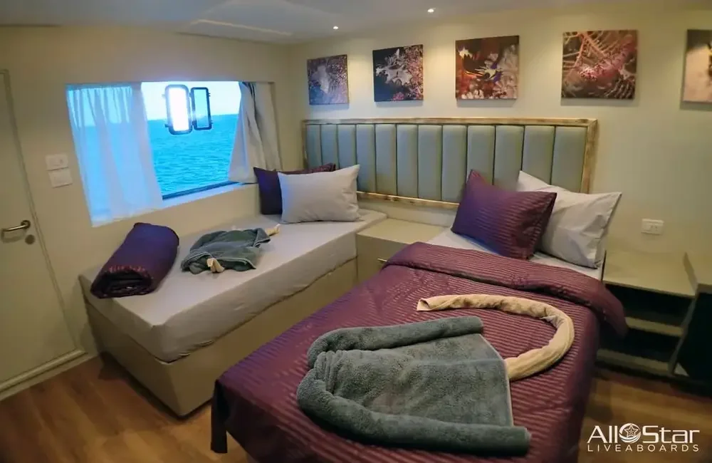 Liveaboard All Star Scuba Scene - Egypt - photo 4