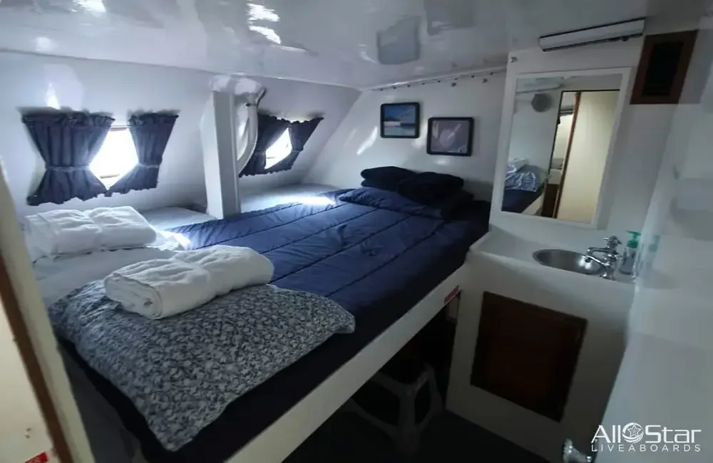 Liveaboard All Star Cat Ppalu - Bahamas - photo 2