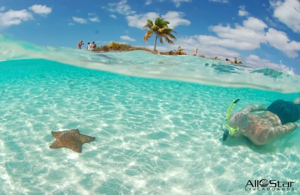 Liveaboard All Star Cat Ppalu - Bahamas - photo 5
