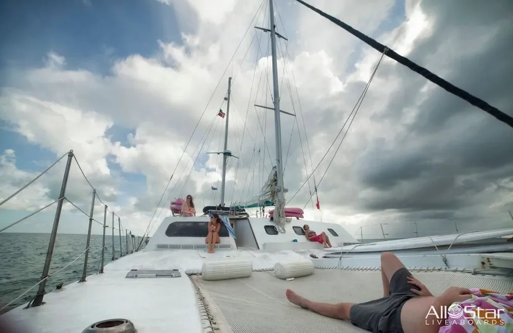 Liveaboard All Star Cat Ppalu - Bahamas - photo 3