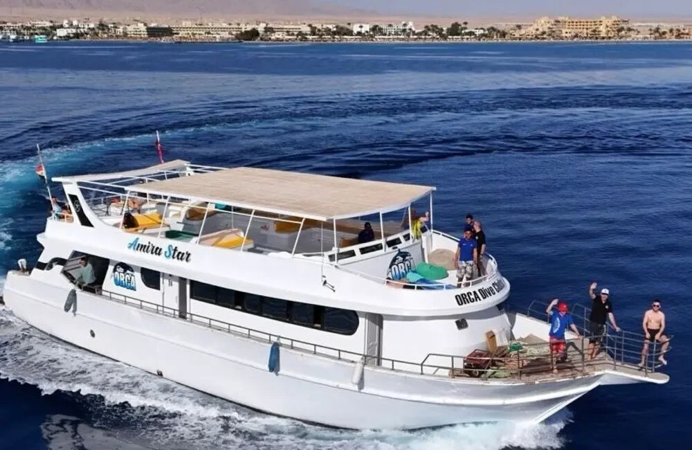 Dive Center ORCA Diveclub Safaga - Egypt - photo 2