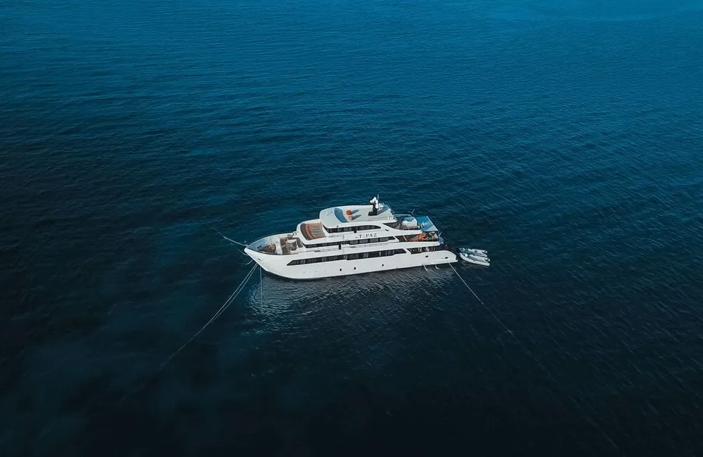 M.Y TOPAZ