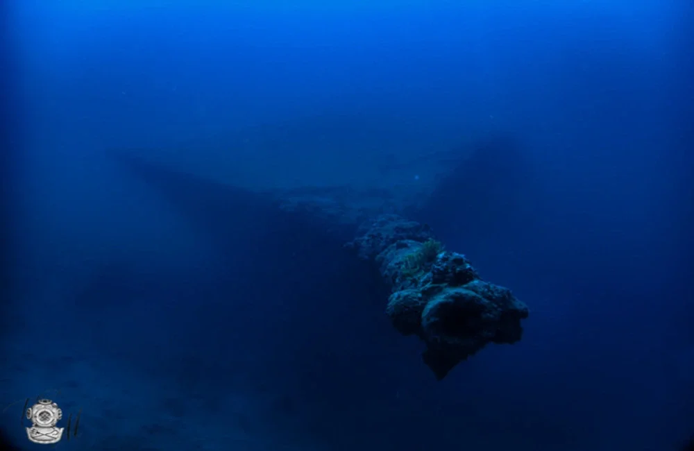 Dive Center HemisphereSub - Asia-Pacific - photo 2