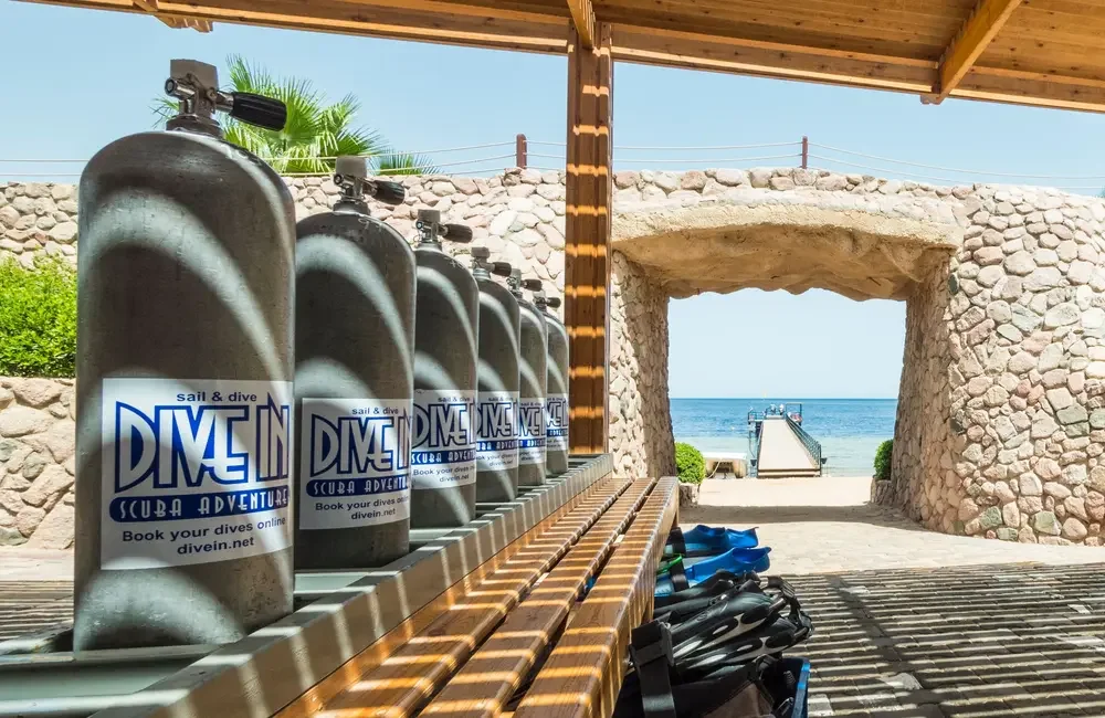 Dive In Sharm El SHeikh