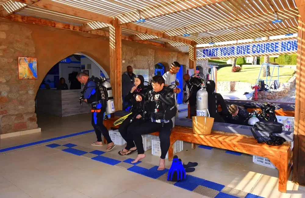 Dive Center Dive In Sharm El SHeikh - Egypt - photo 2