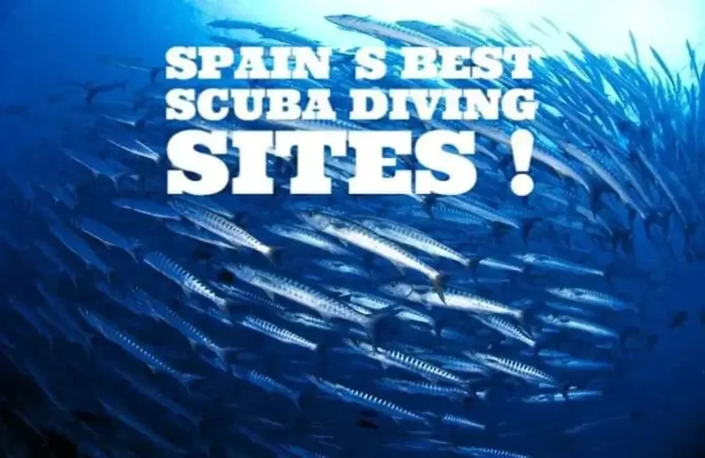 Dive Center Adventure divers and activity center - Costa Blanca - photo 2