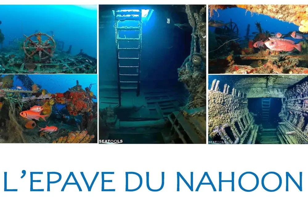 Dive Center DEEP TURTLE PLONGEE - Caribbean - photo 3