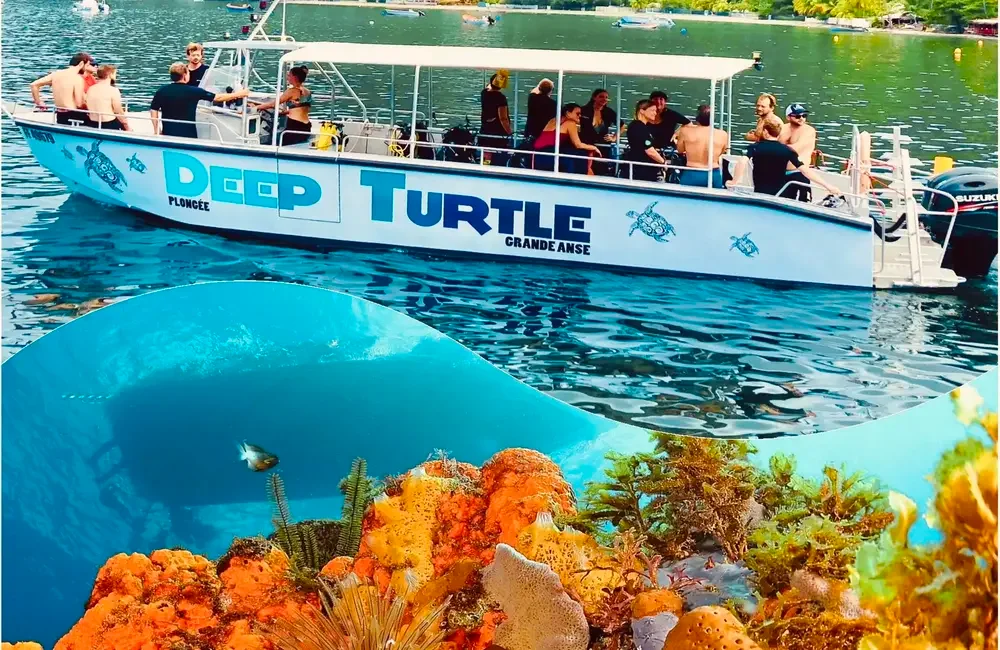 Dive Center DEEP TURTLE PLONGEE - Caribbean - photo 5