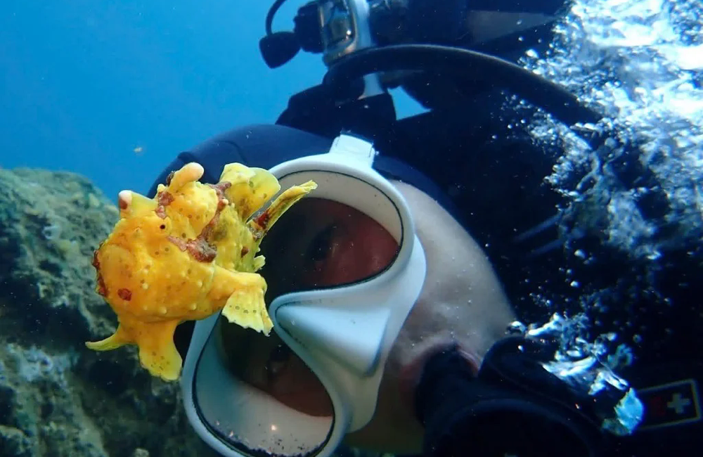 Dive Center Rainbow Divers-Vietnam - Vietnam - photo 5